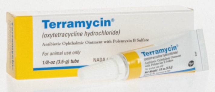 terramycin